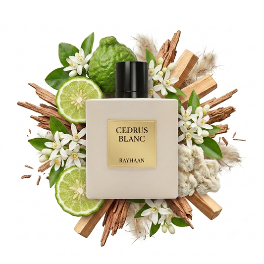 Rayhaan Cedrus Blanc 100ml Eau de Parfum